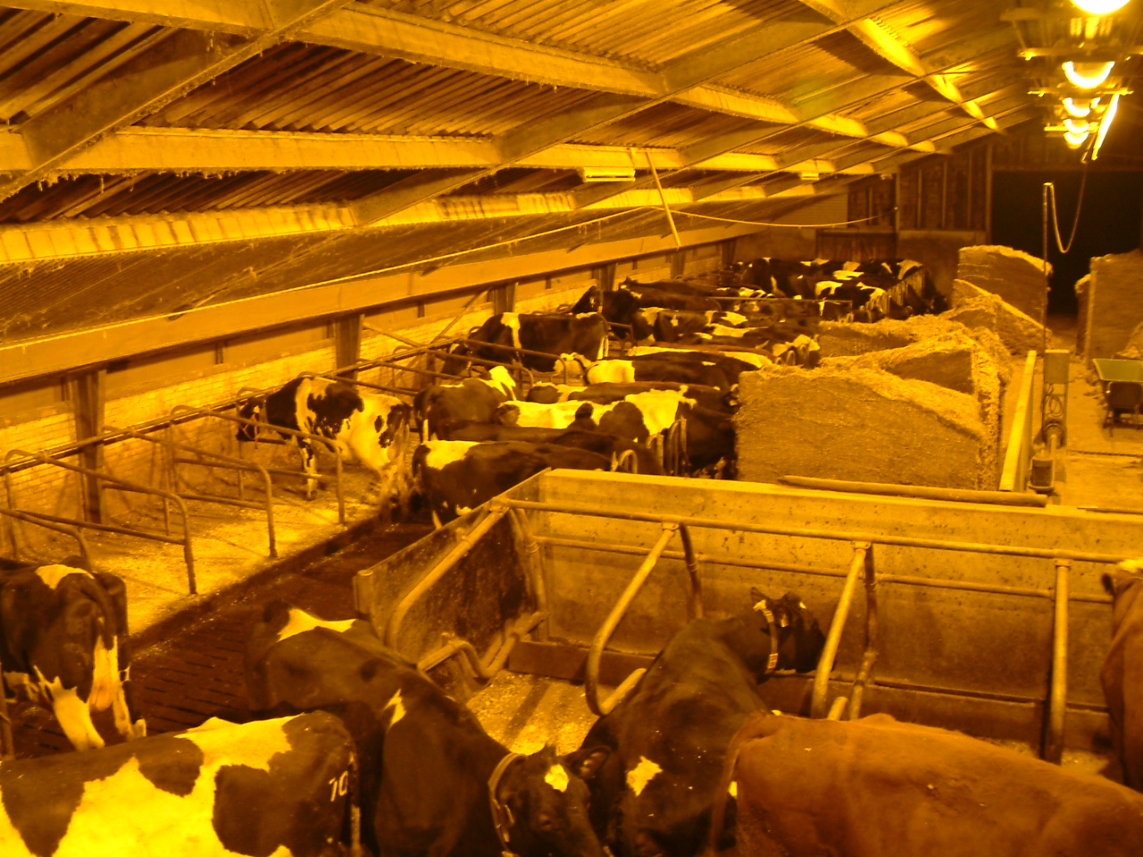 stalverlichting