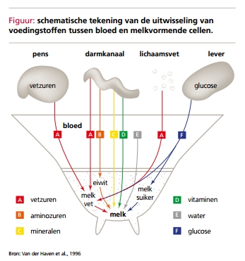 Uierschema